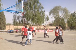电信系举办“挑战杯”篮球比赛