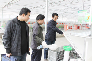 学院师生义务植树共建美丽武威