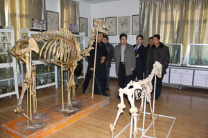 团省委副书记赵立香同志检查指导共青团工作