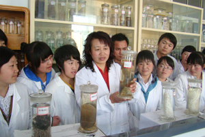 尹凤琴同志喜获甘肃省先进工作者