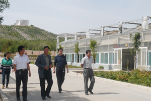 副院长姜聪文一行到金昌市金川集团园艺公司考察