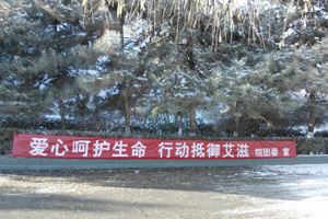 院团委组织志愿者开展预防艾滋病宣传活动