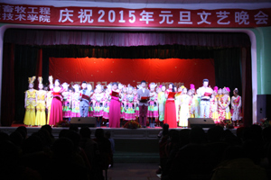 学院成功举办庆祝2015年元旦文艺晚会