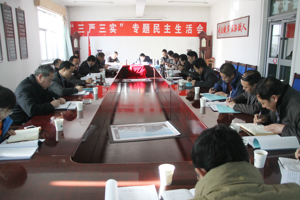 学院召开领导班子“三严三实”专题教育民主生活会