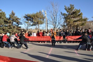 【系部动态】畜牧系举办2015级新生“庆元旦  迎新年”拔河比赛