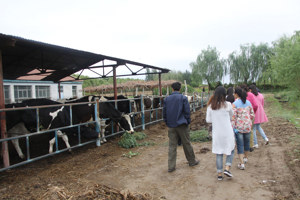 【学院新闻】学院组织全体教师参观校内实习实训中心