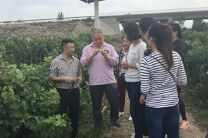 【系部动态】葡萄酒工程教研室到企业参观学习