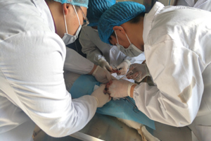 学院兽医系宠物协会赴金昌开展城市流浪狗CNR志愿服务活动