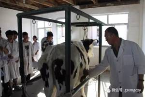 学院举行2017年国家职业技能鉴定技能考核