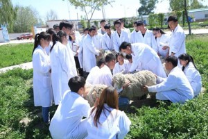 捷报频传 实力彰显