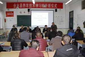 开展培训学习 助力教育扶贫—学院举办合水县养羊技术人员学习班
