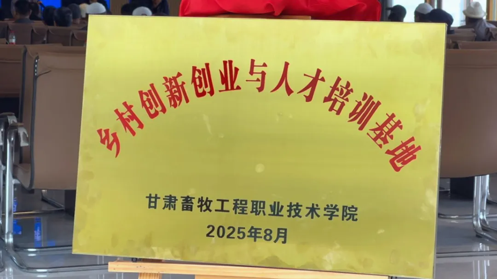 肉羊养殖3