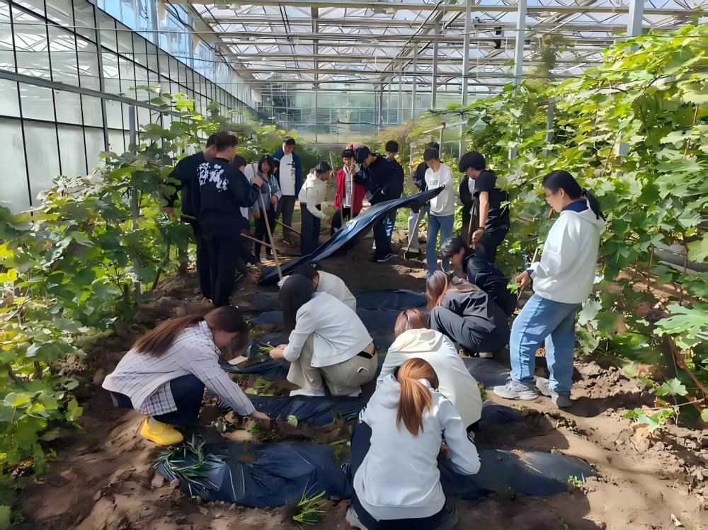 学生在现代农牧科技园进行实践技能操作(1)