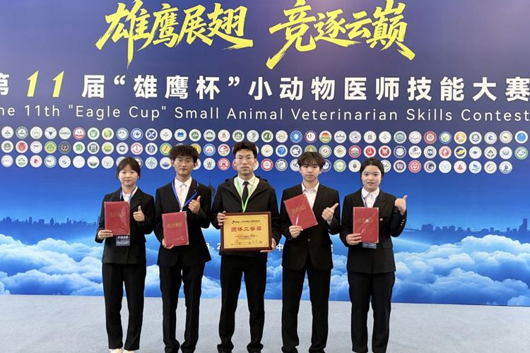 我院学子在第十一届“雄鹰杯”小动物医师技能大赛中荣获二等奖