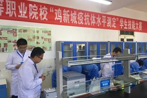 我院参加甘肃省2018年高等职业院校学生技能大赛暨国赛选拔赛成绩喜人