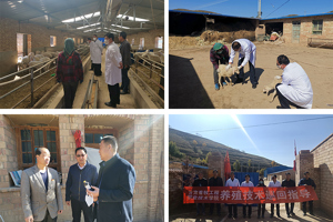 学院深入开展第七个“国家扶贫日”活动