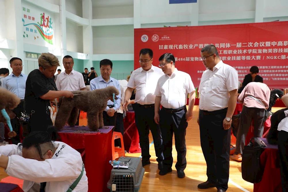 b4fbd390e11c41cdb06f47d3ace05a8e.jpg