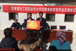 情系陇原大地，爱撒黄土高原