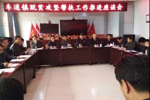 学院领导出席环县车道镇脱贫攻坚帮扶工作推进会