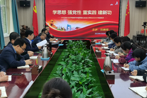 学习贯彻习近平新时代中国特色社会主义思想主题教育专题党课