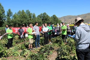 农机—农技下乡 助力脱贫攻坚 ——甘肃畜牧工程职业技术学院大学生走进古浪县大南冲村