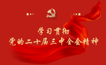 学习贯彻党的二十届三中全会精神